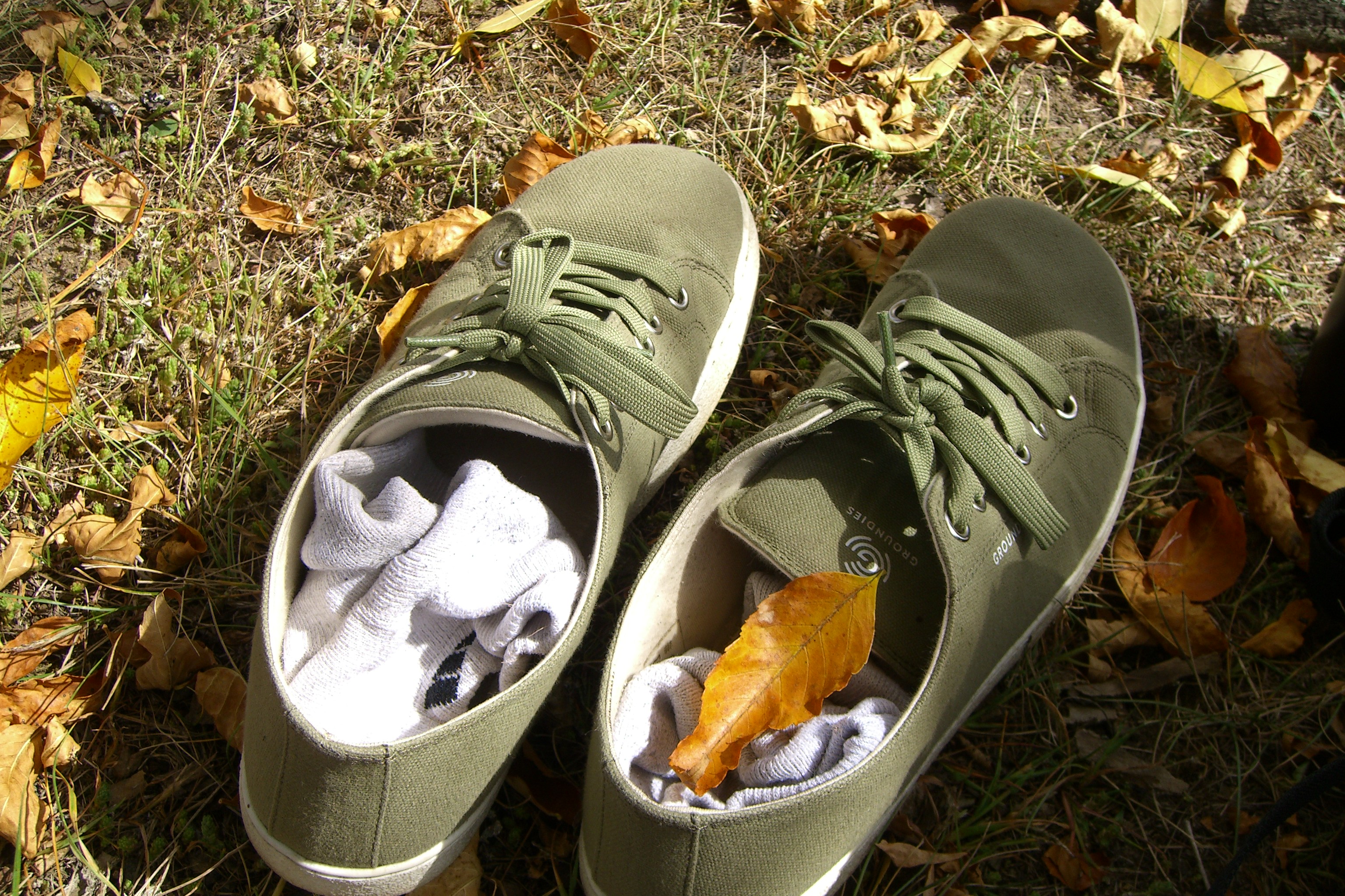 Sneakers with a fall leaf