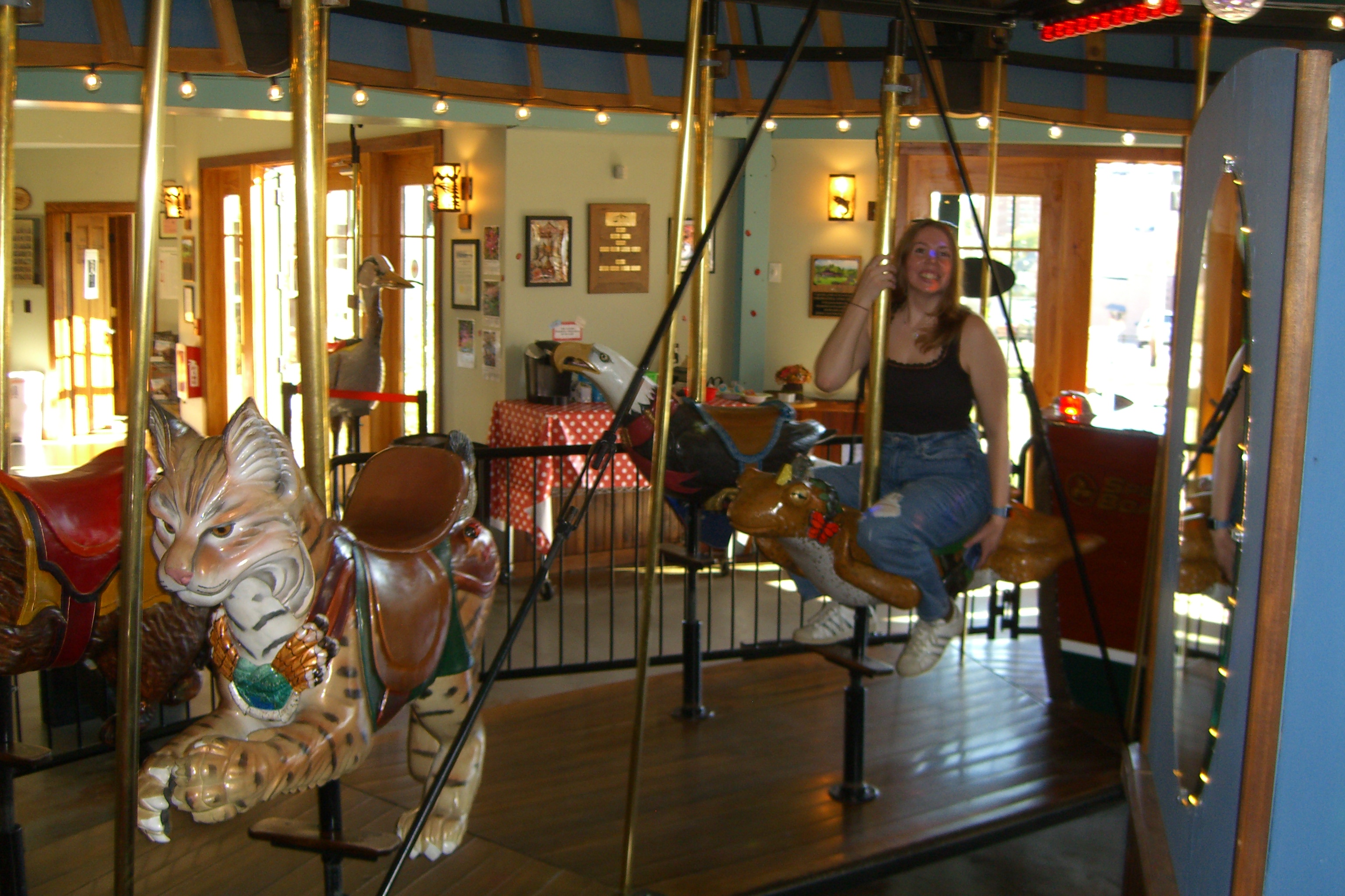 More carousel fun