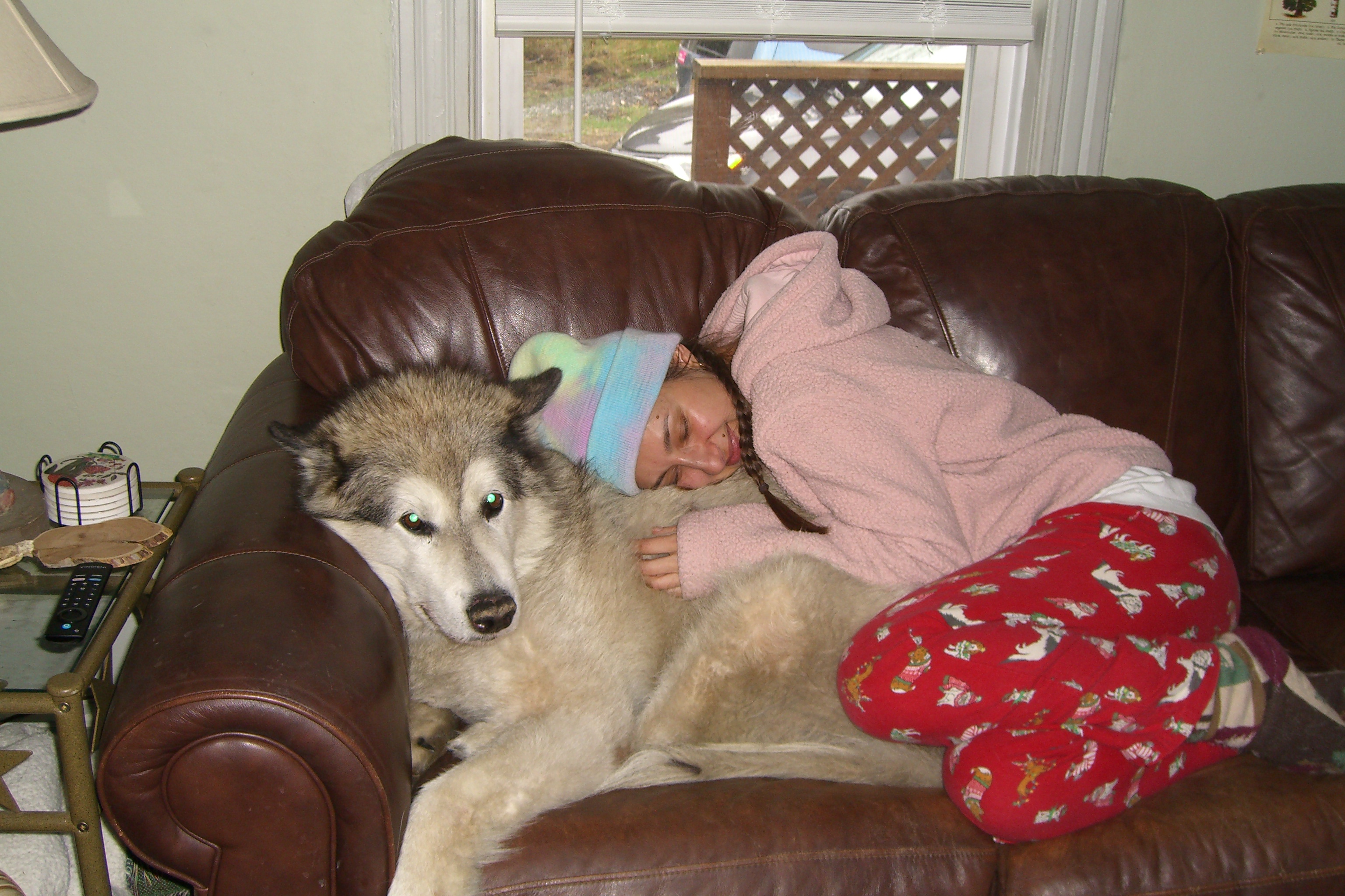 Child cuddling with a large husky on the couch