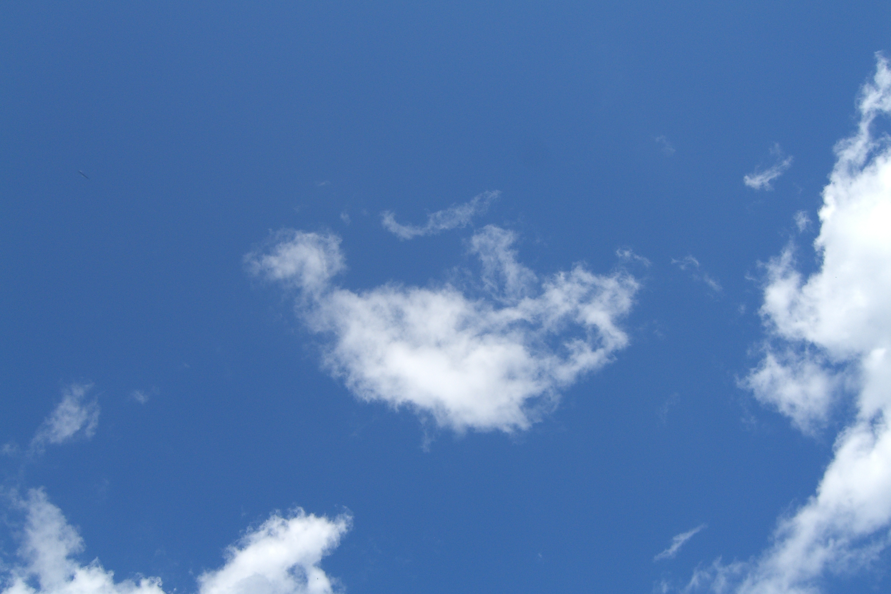 Cloud shaped like a fetus