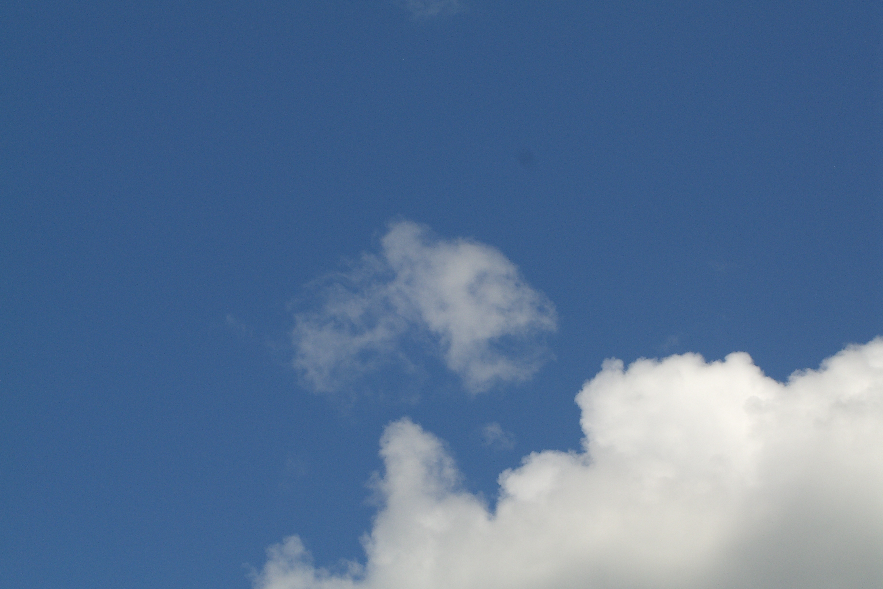 Cloud shaped like a fish